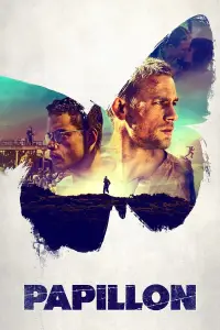 Poster to the movie "Papillon" #968062