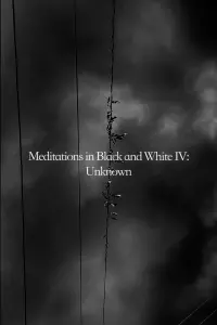 Poster to the movie "Meditations in Black and White IV: Unknown" #657653