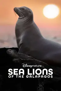 Poster to the movie "Sea Lions of the Galapagos" #1115566