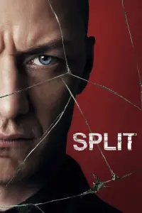 Poster to the movie "Split" #600762