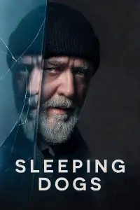 Poster to the movie "Sleeping Dogs" #947389