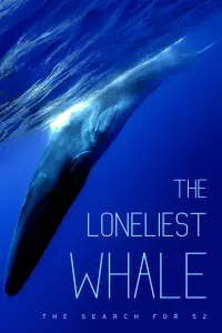 Poster to the movie "The Loneliest Whale: The Search for 52" #1021003