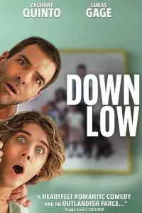 Poster to the movie "Down Low" #1167039