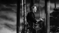 Backdrop to the movie "The Bride of Frankenstein" #809016