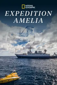 Poster to the movie "Expedition Amelia" #1087254