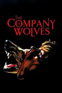 Poster to the movie "The Company of Wolves" #959497