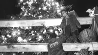 Backdrop to the movie "The National Christmas Tree, A Century of Celebration" #575770