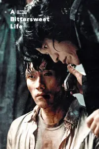Poster to the movie "A Bittersweet Life" #1142974