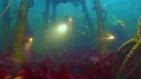 Backdrop to the movie "The Life Aquatic with Steve Zissou" #692971