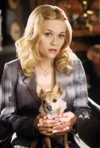 Poster to the movie "Legally Blonde 2: Red, White & Blonde" #712266