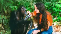 Backdrop to the movie "Lucy the Human Chimp" #896962