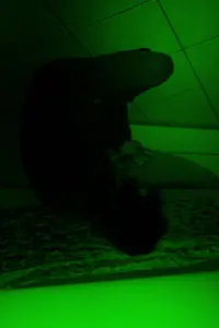 Poster to the movie "RGB" #705874