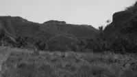 Backdrop to the movie "War Hunt" #894541