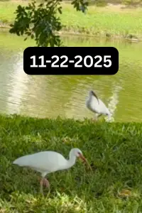 Poster to the movie "11-22-2025" #1156459