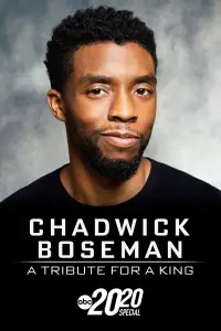 Poster to the movie "Chadwick Boseman: A Tribute for a King" #953773