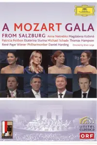 Poster to the movie "A Mozart Gala from Salzburg" #887537