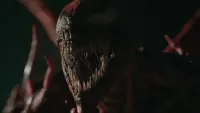 Backdrop to the movie "Venom: Let There Be Carnage" #853607