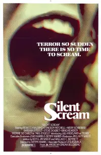 Poster to the movie "Silent Scream" #967395