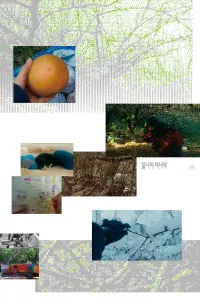 A Pear Tree In The Star Village