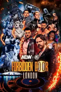 Poster to the movie "AEW x NJPW: Forbidden Door 2025" #671433