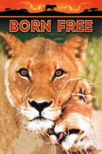 Poster to the movie "Born Free" #987611
