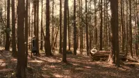 Backdrop to the movie "Fatal Frame" #747034