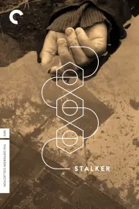 Poster to the movie "Stalker" #734149