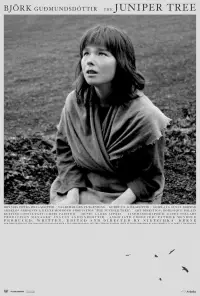 Poster to the movie "The Juniper Tree" #985842
