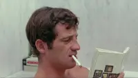 Backdrop to the movie "Pierrot le Fou" #761349