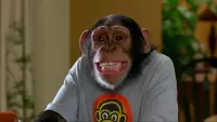 Backdrop to the movie "MXP: Most Xtreme Primate" #720242