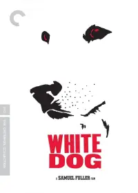 Poster to the movie "White Dog" #1099056