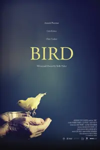 Poster to the movie "Bird" #730408