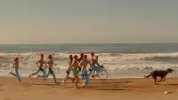 Backdrop to the movie "The Life Aquatic with Steve Zissou" #692958
