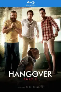 Poster to the movie "The Hangover Part II" #927892