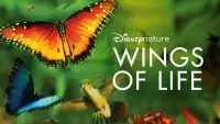 Backdrop to the movie "Wings of Life" #955255