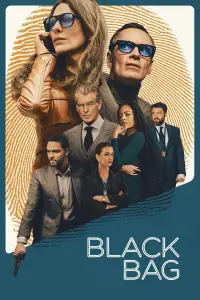 Poster to the movie "Black Bag" #570337