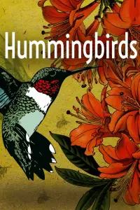 Poster to the movie "Hummingbirds: Jewelled Messengers" #984936