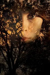 Poster to the movie "O Segredo de Sara" #1106734