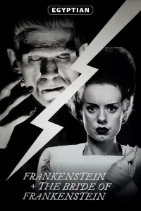 Poster to the movie "The Bride of Frankenstein" #933503