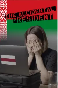 Poster to the movie "The Accidental President" #830393