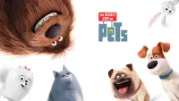 Backdrop to the movie "The Secret Life of Pets" #1021407