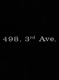 Poster to the movie "498 Third Avenue" #895551