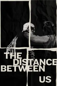 Poster to the movie "The Distance Between Us" #460271