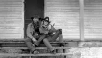 Backdrop to the movie "The Last Days of Frank and Jesse James" #719181