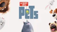 Backdrop to the movie "The Secret Life of Pets" #1021410
