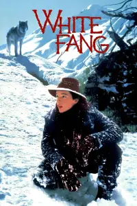 Poster to the movie "White Fang" #1089024