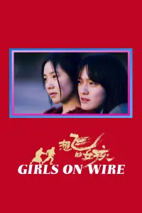 Poster to the movie "Girls on Wire" #970981