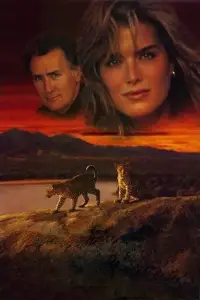 Poster to the movie "Born Wild" #1097668