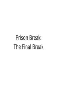 Poster to the movie "Prison Break: The Final Break" #990377