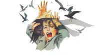 Backdrop to the movie "The Birds" #792297